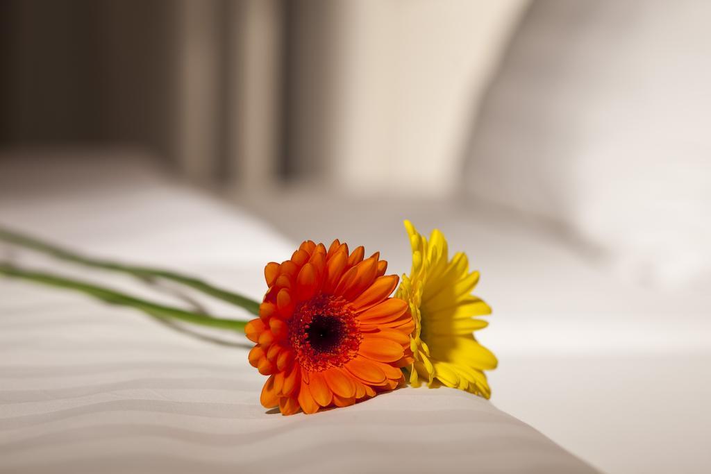 Dahlia 3*